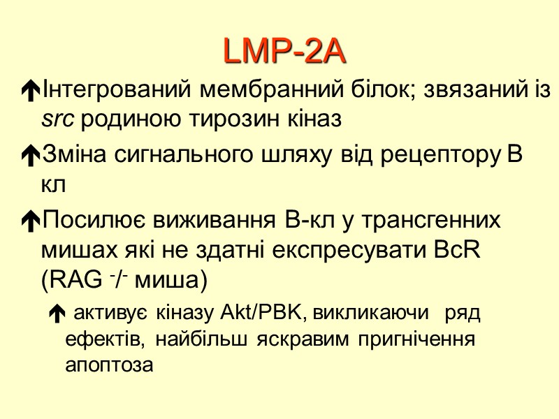 LMP-2A Інтегрований мембранний білок; звязаний із src родиною тирозин кіназ Зміна сигнального шляху від